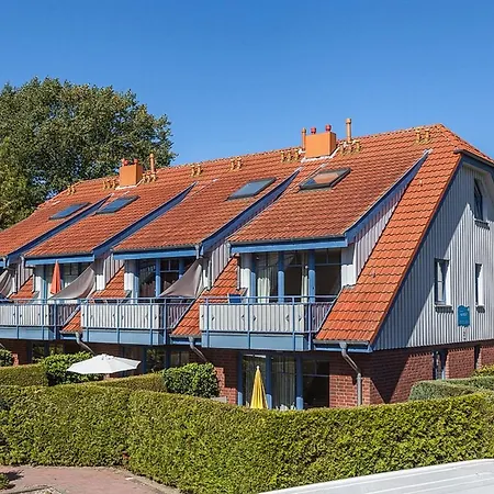 Papillon 03-7 博尔滕哈根